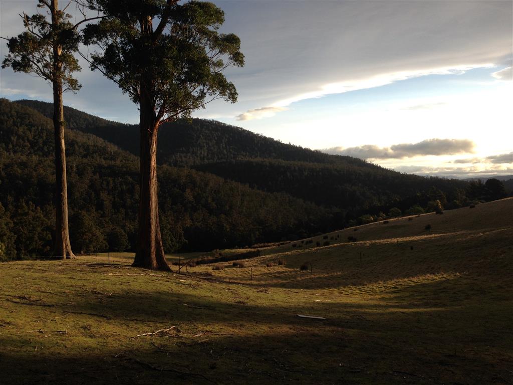 Cygnet Tasmania home of Lanique Design